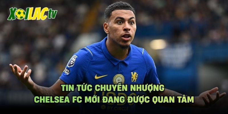 Tin Tức Chuyển Nhượng Chelsea FC Mới Đang Được Quan Tâm